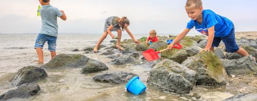 Baarland Chalet De Esquí | Chalet op vakantiepark in Baarland