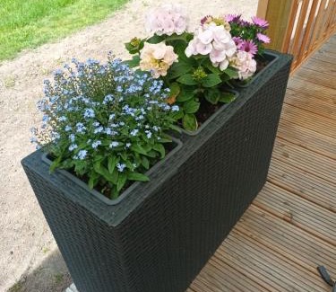 Holtrop Apartamento | Chalet Ostfriesenruhe