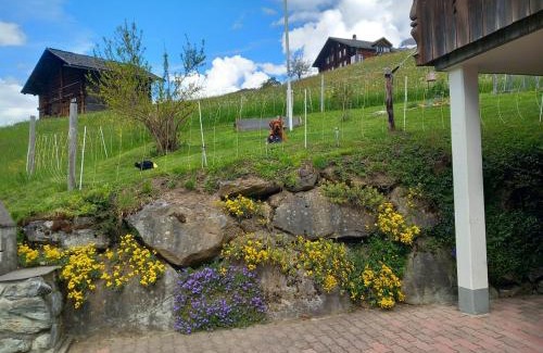 Grindelwald Apartamento | Chalet Pfyffer - Mountain view