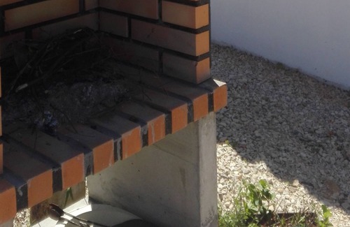 Ferrarias Casa | Chalet con piscina privada cerca de Zoomarine, Zona tranquila (WiFi gratis)