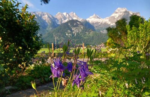 Lofer Apartamento | Chalet Scheffsnoth