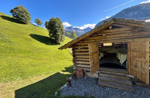 Peist Chalet De Esquí | Chalet Schluechtyi