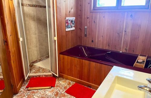 Savignac-les-Ormeaux Chalet De Esquí | Chalet spa bath fireplace ski-in out
