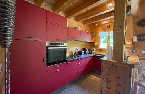 Abondance Chalet De Esquí | Chalet spacieux avec garage privé, animaux acceptés, terrasse et jardin, idéal pour familles ! - FR-1-692-101