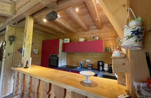 Abondance Chalet De Esquí | Chalet spacieux avec garage privé, animaux acceptés, terrasse et jardin, idéal pour familles ! - FR-1-692-101