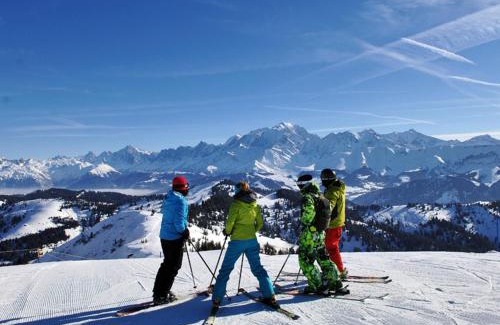 Crest-Voland Chalet De Esquí | Chalet spacieux proche pistes et centre, animaux acceptés et parking - FR-1-505-75