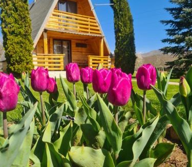 Gospic Chalet De Esquí | Chalet Velebitska Kuća