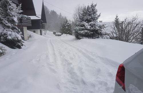 Thollon-les-Memises Chalet De Esquí | Chalet con fabulosas vistas al lago de Ginebra, cerca de Piste y Telecabin