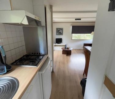 Anloo Chalet De Esquí | Chalet with nice garden in Anloo