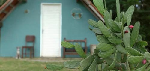 Natividade da Serra Otro | Chalezinho da Serra