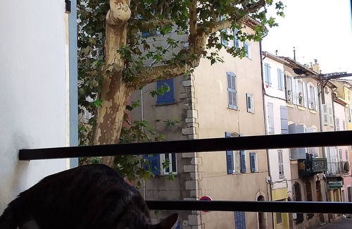 Draguignan Cama Y Desayuno | Chambre à Louer