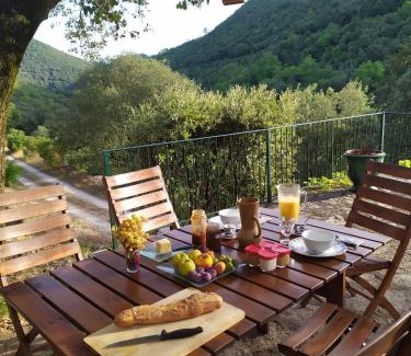 Cros Cama Y Desayuno | Chambre Cévennes: Piscine, lamas, rivière