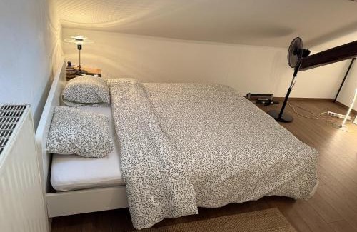 Longwy Casa | Chambre chez l'habitant 3 - Longwy bas