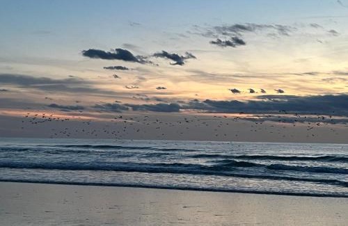 Camiers Cama Y Desayuno | Chambre d hôte à la plage de 15 m2 LE MANAPANY