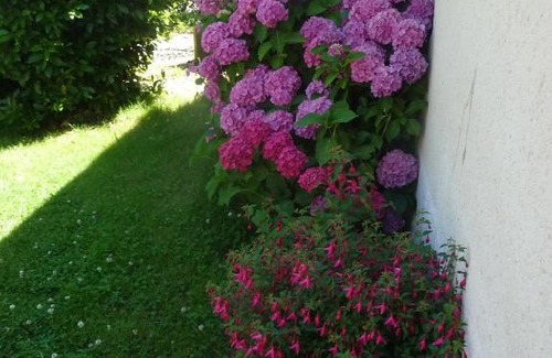 Bazouges-sur-le-Loir Casa | Chambre d'hôte en Vallée du Loir - Elevage des Rosiers