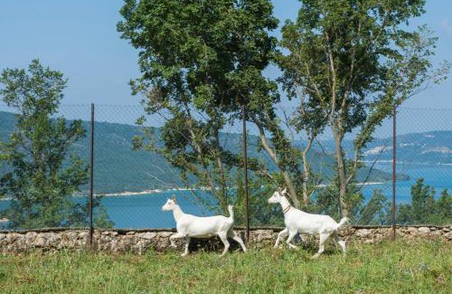 Aiguines Cama Y Desayuno | Chambre d'hotes - Ferme de Chanteraine