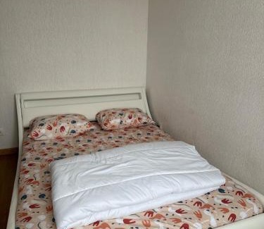 Fleury-les-Aubrais Casa | Chambre double chez habitant