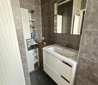Fleury-les-Aubrais Casa | Chambre double chez habitant