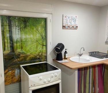 Saint-Laurent-de-Cerdans Casa | Chambre au vert