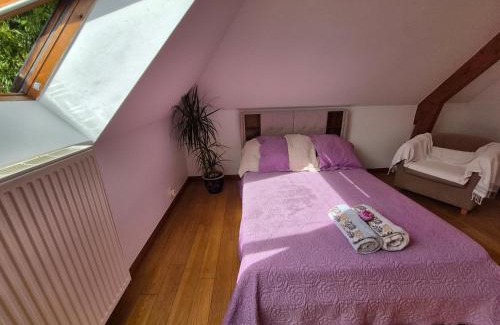 L'Etang-la-Ville Casa | Chambre, Terrasse et Jacuzzi