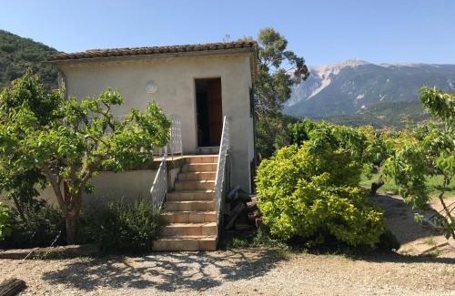 Plaisians Hotel | Chambre une fenêtre sur le Ventoux la Clue