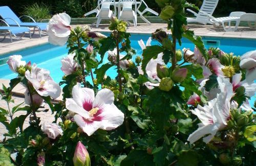 Malemort-sur-Correze Casa | Chambres d'Hôtes Le Clos des Senteurs