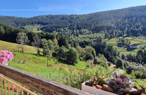 Ventron Cama Y Desayuno | Chambres d'hôtes à la montagne, animaux acceptés - FR-1-589-735