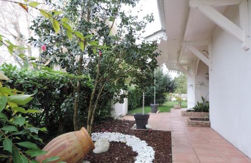 Ares Cama Y Desayuno | Chambres d'Hôtes Villa La Louisiane