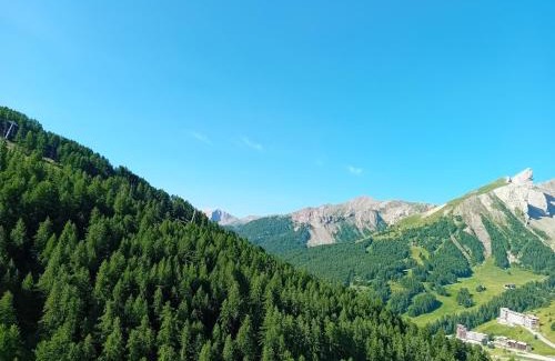 Allos Apartamento | chamois tétras marmotte