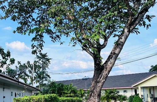 Si Racha Apartamento | Chan Meung Resort