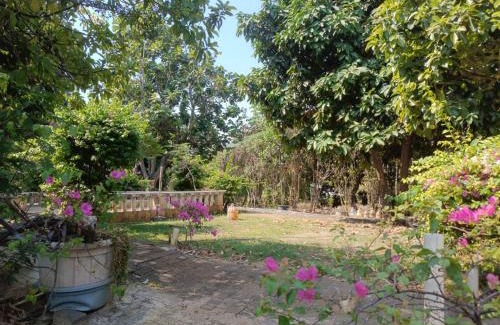 Jakarta Hotel | Chandrady Guest House