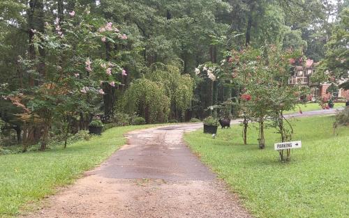 Stone Mountain Apartamento | Chans Lakeside Hideaway
