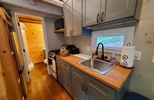 Suches Cabaña | Chanterelle Tiny House