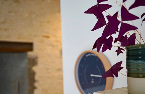 Saint-Michel-en-l'Herm Casa | Character cottage less than 10 minutes from the beaches