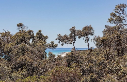 Eagle Bay Casa | CHARACTER FILLED EAGLE BAY ESCAPE OFFERING BLISSFUL VIEWS THROUGH THE TREETOP