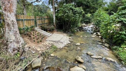 Bentong Casa | Charis Pool Villa 1 - 3 Bedroom with Private Pool