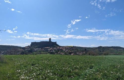 Le Puy-en-Velay Casa | Charmant 2 pièces au pied de la cathédrale, lumineux et tout inclus, idéalement situé en centre-ville. - FR-1-582-379