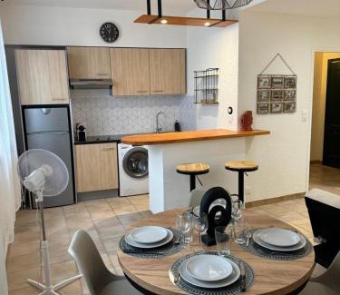 Castelnaudary Apartamento | Charmant appartement en Hypercentre de Castelnaudary