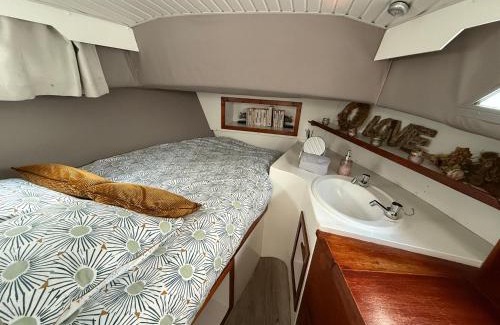 La Ferte-sous-Jouarre Alquiler De Eote | Charmant bateau sur la Marne le VIKING