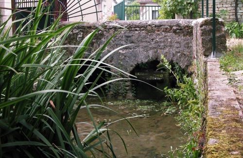 Verneuil-le-Chateau Casa | Charmant gîte familial en Touraine avec cheminée - FR-1-381-617
