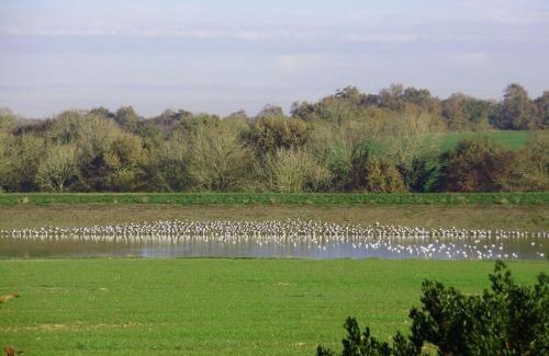 Vaire Casa | Charmant Gîte Rénové avec Jardin Privé, Cheminée et WiFi à Vairé, Vendée - FR-1-426-411