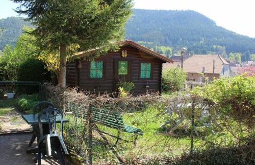 Bionville Casa | Charmant Gîte Vosgien avec Terrasse, Randonnées et Lacs, Proche Alsace et Col du Donon - FR-1-584-54