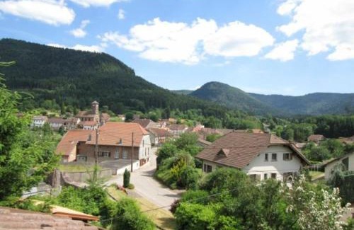 Bionville Casa | Charmant Gîte Vosgien avec Terrasse, Randonnées et Lacs, Proche Alsace et Col du Donon - FR-1-584-54