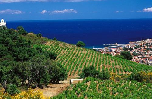Banyuls-sur-Mer Casa | Charmant séjour au cœur des vignes de Banyuls