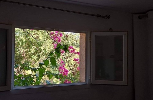 Afa Apartamento | Charmant Studio a AFA au Pied du Mont Gozzi Près D'ajaccio