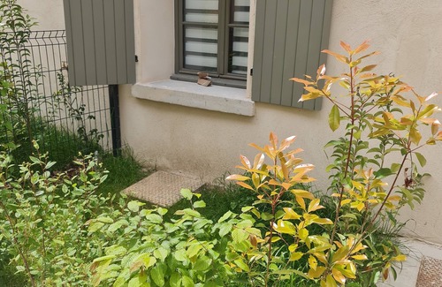 Saint-Cyr-au-Mont-d'Or Apartamento | Charmant Studio Indépendant, Bien Équipé