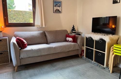 Samoens Apartamento | Charmant studio, proche centre et ski-bus, avec jardin et WIFI – idéal pour 4 personnes - FR-1-624-56