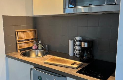 Samoens Apartamento | Charmant studio, proche centre et ski-bus, avec jardin et WIFI – idéal pour 4 personnes - FR-1-624-56
