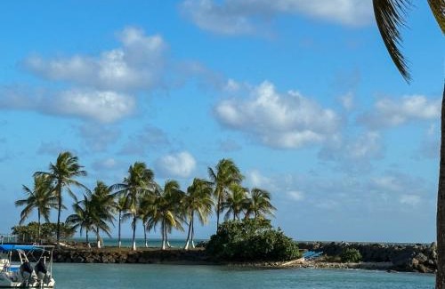 Bas du Fort Apartamento | Charmant studio vue mer SANS COUPURE D'EAU