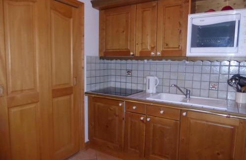 Pralognan-la-Vanoise Apartamento | Charmant T2 Montagne, Balcon, Proche Pistes - Pralognan-la-Vanoise - FR-1-464-4